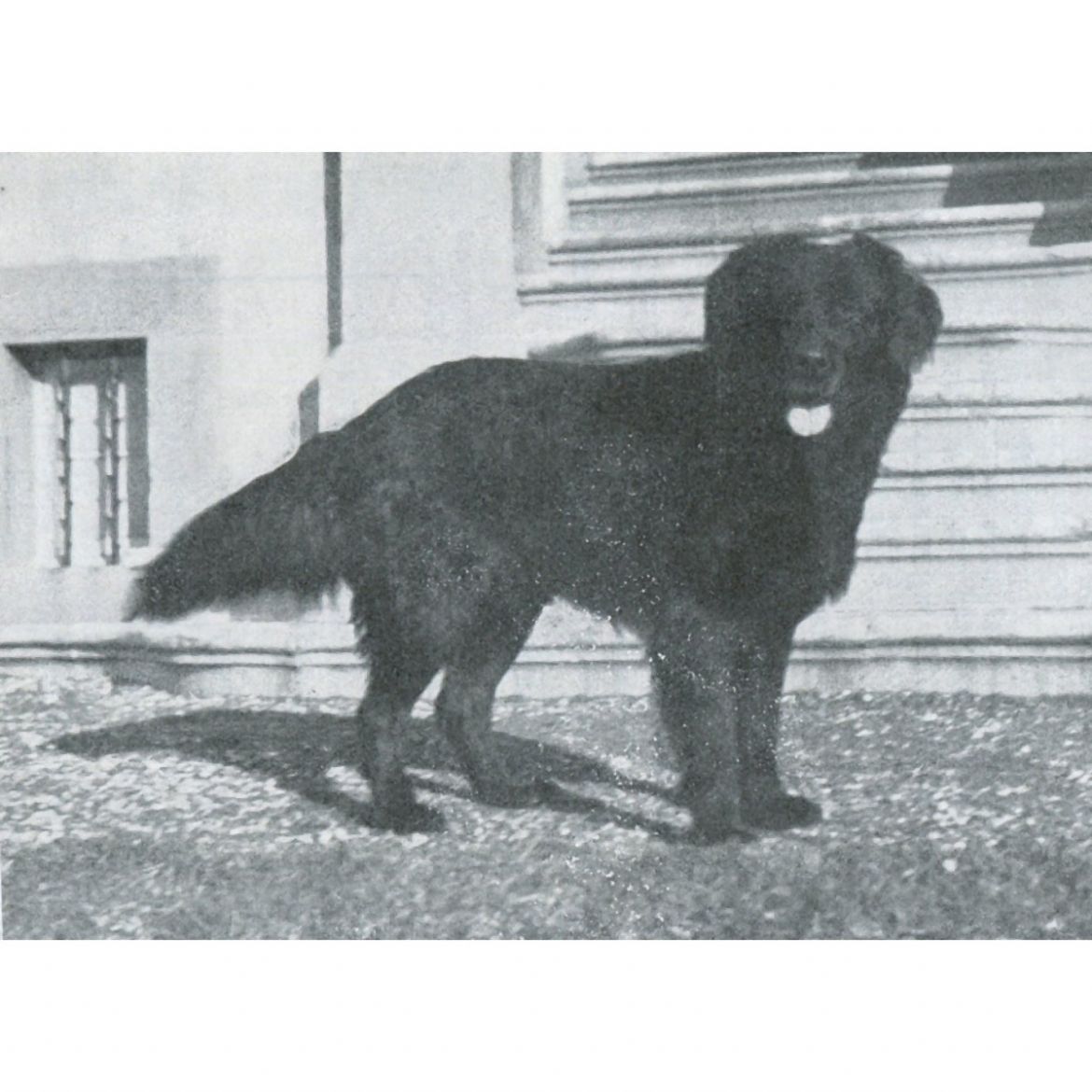 R Triton (18-08-1904)